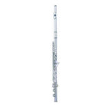Fontaine FBW105 C Flute Silver Plated Body