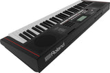 Roland E-X10 Portable Arranger Keyboard (EX10)