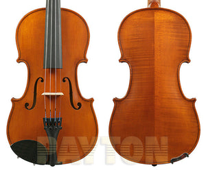 Gliga II Antique Violin Outfit